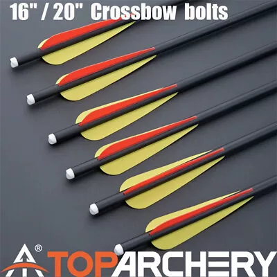 16  / 20  Carbon Bolts Arrows Hunting OD 8.8 Replaceable Arrow-tips Hunting Bolt • $28.74