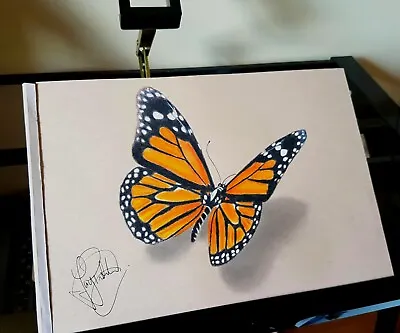 Butterfly Hand Drawn Art Print Wildlife Pencil Drawing Present Gift Canvas A3 • £20
