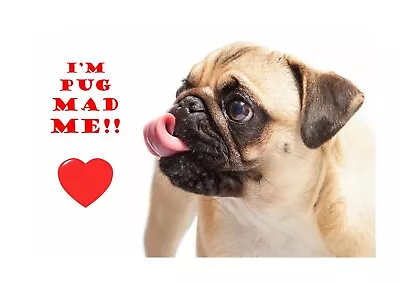 £34.11 • Buy Pug 1 A4 Reproduction Dog Poster Choice Of Frame Great Gift