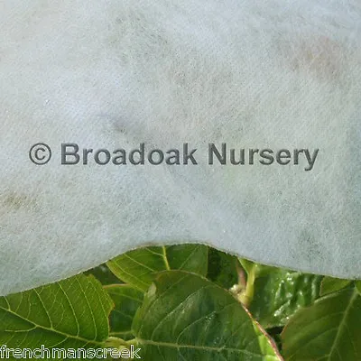 £11.25 • Buy 10m X 1.5m Heavyweight Horticultural Garden Fleece, 30gsm Plant Frost Protection