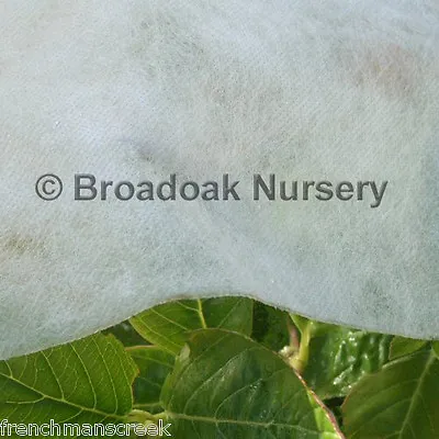 10m X 1.5m Heavyweight Horticultural Garden Fleece 30gsm Plant Frost Protection • £11.25