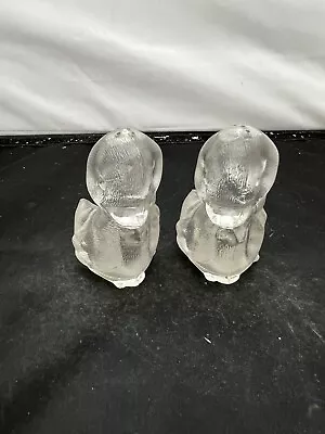 Vintage Clear Acrylic Plastic Duck Salt And Pepper Shakers • $10