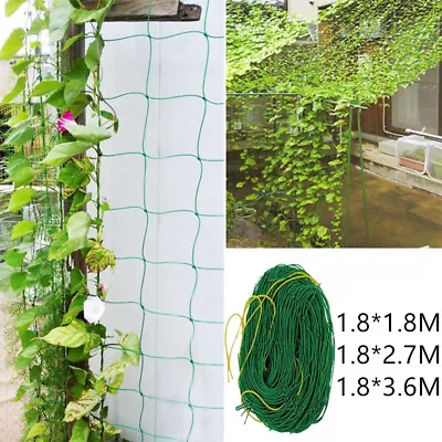 £4.92 • Buy Plant Trellis Netting Garden Nylon Mesh Fence Climbing Bean Cucumber Support Net