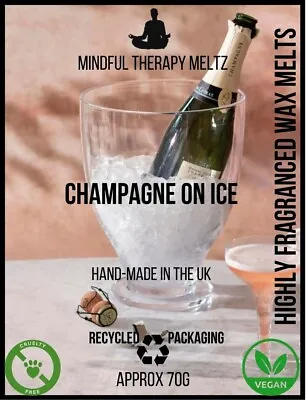 Champagne On Ice X 1 Square Clamshell Wax Melts Highly Fragranced • £2