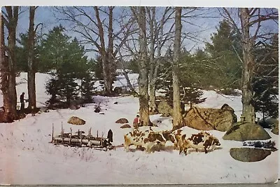 New Hampshire NH Maple Sugar Postcard Old Vintage Card View Standard Souvenir PC • $0.50