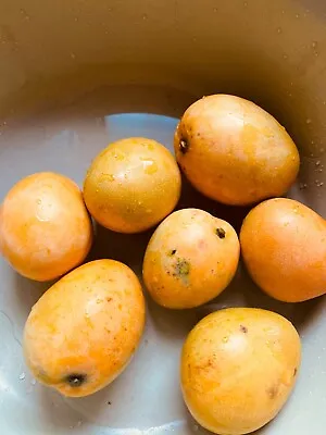 3  Rare Chaunsa Mango Seeds Non-GMO Organic • $11.99