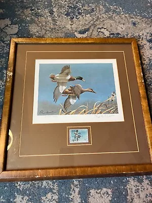 1980 Federal Duck Stamp Print Mallards In Flights Stamp & Signed And Numbered! • $65