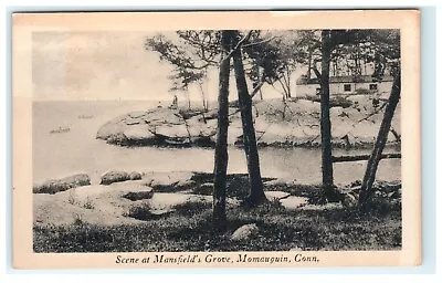 Mansfield's Grove Momauguin CT Connecticut Early Postcard • $14.50