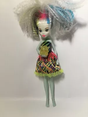 Monster High Electrified High Voltage Frankie Stein Doll Lights Up Working Pet • $33.99