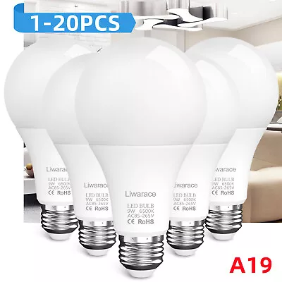 A19 LED Light Bulbs E26 E27 Lamp Replacement Daylight 6500K Bulbs Non-Dimmable • $11.95