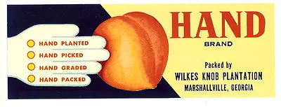 Vintage WILKES KNOB HAND Peach Fruit Crate Label MARSHALLVILLE GEORGIA • $1.95