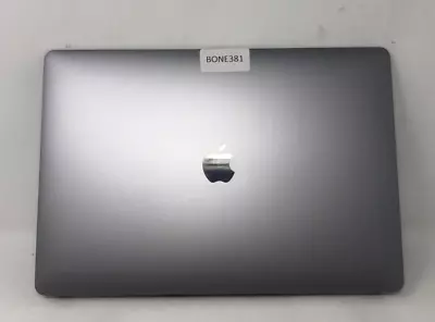 MacBook Pro A1990 15.4  2880x1800 Display - Apple • $50