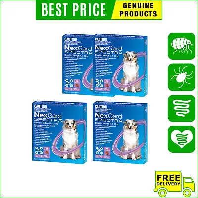 NEXGARD SPECTRA Flea Heartworm Control 3612 Chews For Dog 15.1 To 30 Kg PURPLE • $76.98