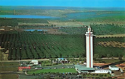 Aerial View Citrus Tower Postcard PC 2.20 • $4.75