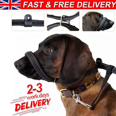 Flat Figure Of 8 Anti Pulling Dog Lead Leash With Padded Nose Support 180cm UK • £12.95