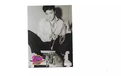 1992 Elvis Presley Collectible Trading Card  #549 • $1.50