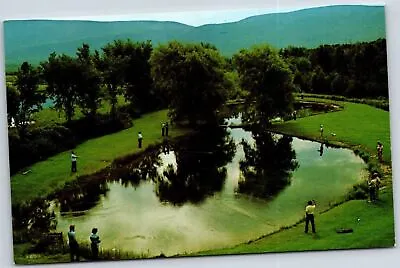 Vintage VT Postcard Orvis Ponds Fly Fishing Casting School Manchester Vermont A5 • $4.60