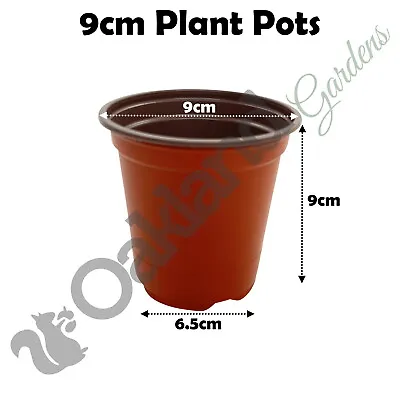 9cm Plant Pots Terracotta Plastic Tall Deep Full Size Flower Pot 3.5  Seedling  • £5.10