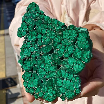 464G Natural Glossy Malachite Transparent Cluster Rough Mineral Sample • $0.99