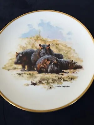 David Shepherd Wildlife Collection Hippopotamus Spink Vintage Collectors  VGC • £5