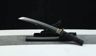 Clay Tempered T10 Steel Sharp Japanese Samurai Sword TANTO Full Tang Battle • $119.49