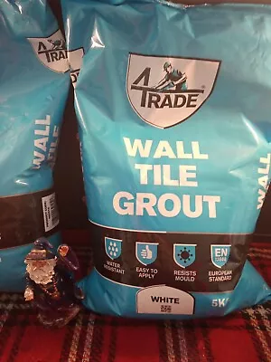 £8.79 • Buy Fast Drying White Wall Tile Grout