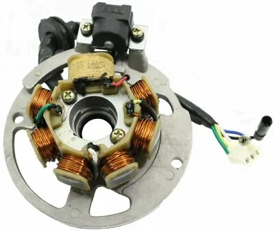 50cc 2-stroke Minarelli Stator Assembly Vento Triton Vento Zip R3i • $43.99