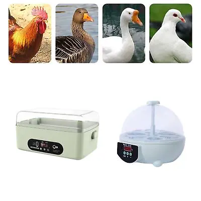 £24.46 • Buy Mini Egg Incubator Digital Chicken Poultry Hatcher 6 Eggs Incubator Manual Egg