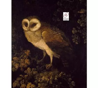 Antique Owl Painting Academia Moody Rustic Bird Print Vintage Animal Art 314C • $9.95