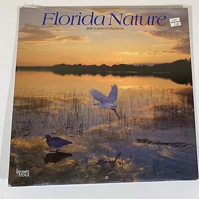 Florida Nature 2019 12 X 12 Inch Monthly Wall Calendar Collectible • $4.70