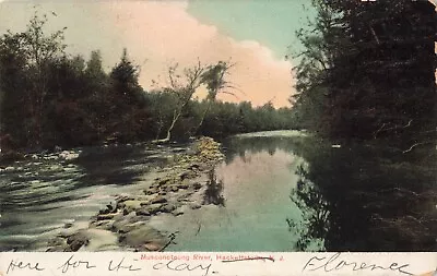 Musconetcong River Hackettstown New Jersey NJ C1905 Postcard • $14.95