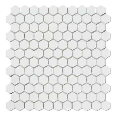 Thassos White Marble Honed 1  Mini Hexagon Mosaic Tile • $31.99