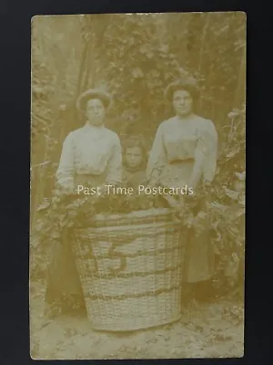 England HOP PICKING / PICKER Women & Basket Field Portrait (4) Early RP Postcard • £20