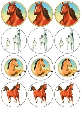 24 Horse Theme Pony Fairy Cup Cake Toppers Edible Birthday Party Decorations • £2.38