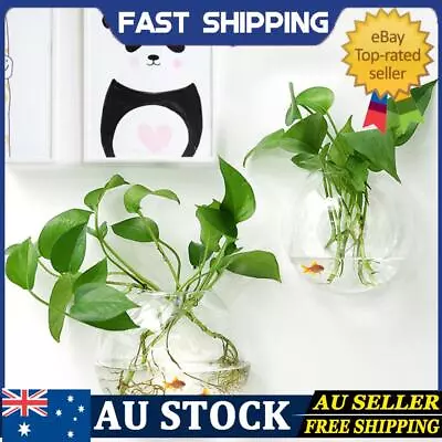  Unique Wall Mount Fish Bowl For Beta Goldfish & Plants - Transparent Design  • $13.89