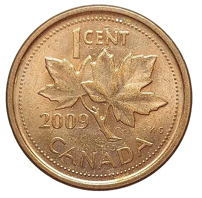 Canada 1 Cent 2009 Coin Elizabeth II T41 • £2.99