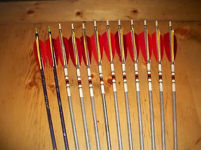 Ten Matching Vintage 1816 Aluminum Arrows And Two 1813 • $15