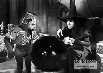 *5x7* Publicity Photo - Margaret Hamilton In  The Wizard Of Oz  (ep-654) • $7.98