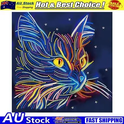 $12.59 • Buy 5D DIY Special Shaped Luminous Diamond Painting Kit Craft (Cat LZYG07)