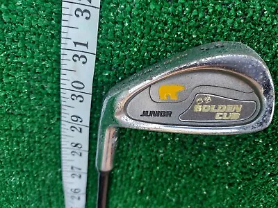 Golden Bear 5/6 Iron Junior Golden Cub - Junior Graphite Shaft Left Hand 32in • $20.50