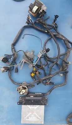 Fiat Tipo Tempra Croma ECU Wiring Loom Rotary Injectors Coil Magneti Marelli • $285.97