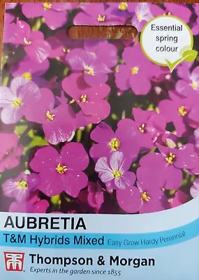 £2.25 • Buy Thompson & Morgan Aubrieta T&M Mixed Hybrid Flower Seeds 1 Pack Of 400 Seeds