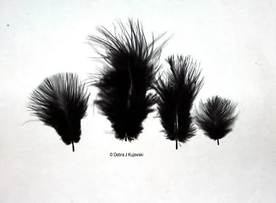 Marabou Feathers Small 1-3  Fluffs BLACK 7 Grams Approx. 105 Per Bag • $2.65