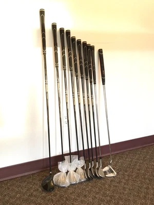 $120 • Buy Warrior Golf Club Set Putter Wedge Irons Woods - Men's RH Stiff Graphite