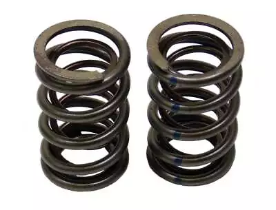 Gx390 Dual Valve Spring Set 390-DUAL-PAIR • $23.71