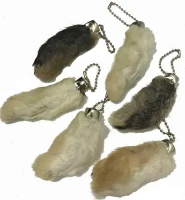 24 REAL RABBIT NATURAL COLOR  FOOT KEY CHAINS Bunny Feet Rabbits Lucky Keychain • $39.99