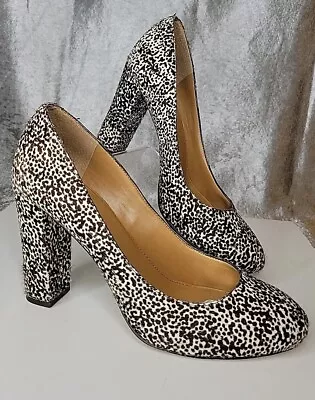 J. Crew Etta Leopard Chunky Heels Pumps Shoes Calf Hair Size 8.5 BEAUTIFUL! • $24.22