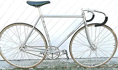 Vintage Rare Cinelli SC Pista Superleggera Track Bike 51 Cm (CINSCCNRPIG5107) • $2500