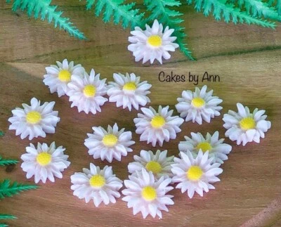 Edible Vegan Sugar Fondant Daisy Light Pink Flowers Cake Cupcake Topper 25 • $14