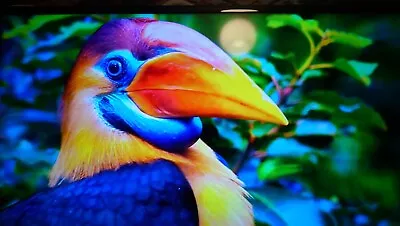 £75 • Buy Samsung Smart TV UE40EH5300K 40  1080p, Please No Time Wasters 